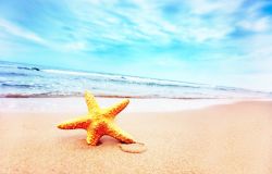 Ostia, la presentazione agli studenti dei corsi di ingegneria del mare