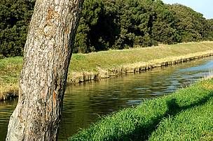Oasi WWF, rinnovato l'accordo per tutelare e promuovere la natura Oasi WWF, rinnovato l'accordo per tutelare e promuovere la natura