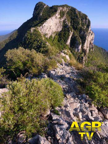 WWF a Sabaudia una giornata dedicata ai servizi ecosistemici WWF a Sabaudia una giornata dedicata ai servizi ecosistemici