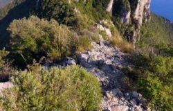 WWF a Sabaudia una giornata dedicata ai servizi ecosistemici