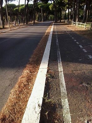 Ostia, in bici è meglio Ostia, in bici è meglio