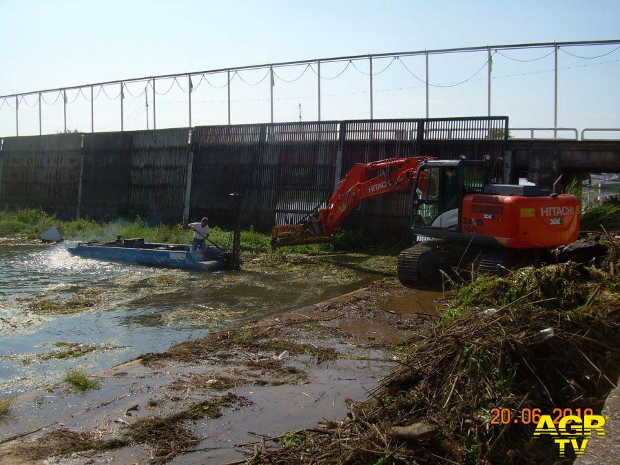 Terracina, rimosse erba e detriti dallo sgrigliatore, spiagge più pulite Terracina, rimosse erba e detriti dallo sgrigliatore, spiagge più pulite