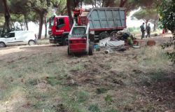 Ostia, lavori in pineta, S.I. presenta esposto
