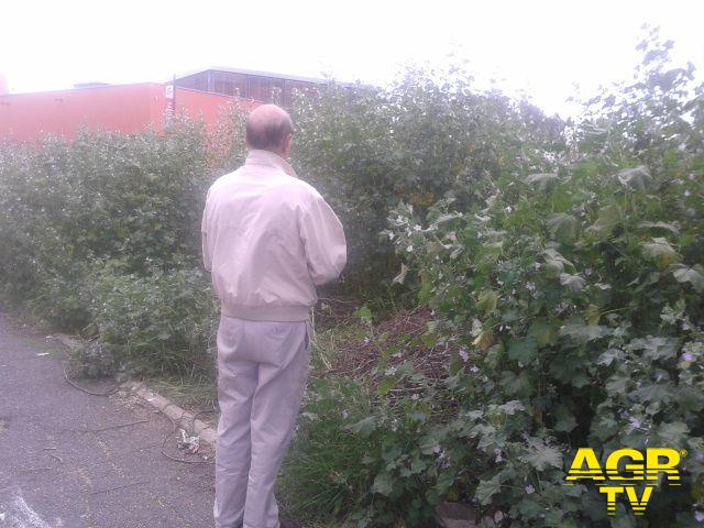 Roma, al Torrino i giardini dimenticati