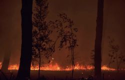 Castelfusano,chiesta la convocazione del Comitato per l'Ordine e la Sicurezza pubblica