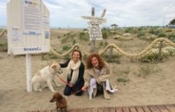 Maccarese, alla Bau Bau beach Cani senza frontiere, una sfida-gioco con gli amici a quattro zampe