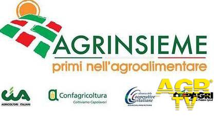 Agrinsieme Agrinsieme