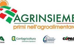 Agrinsieme: consumo di suolo, si aggrava la situazione, si perdono biodiversita’, economia e cultura