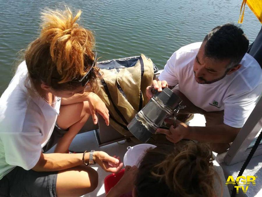 Legambiente, il monitoraggio dei laghi del Lazio