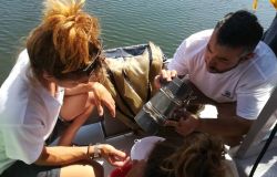 Legambiente, il monitoraggio dei laghi del Lazio