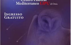 Ostia,le magiche notti delle stelle in riva al mare