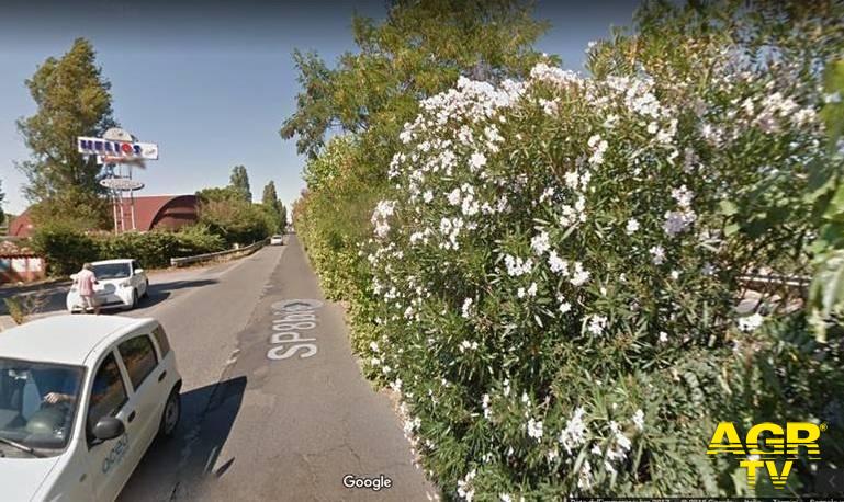 Via Ostiense, carreggiata occupata dalla vegetazione Via Ostiense, carreggiata occupata dalla vegetazione