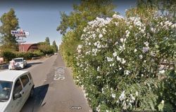 Via Ostiense, carreggiata occupata dalla vegetazione