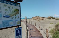 Focene, le dune costiere tornano a vivere con il WWF