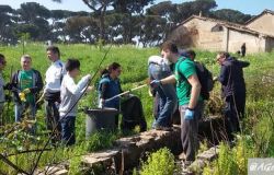 Municipio X, Cleanup Day 2018