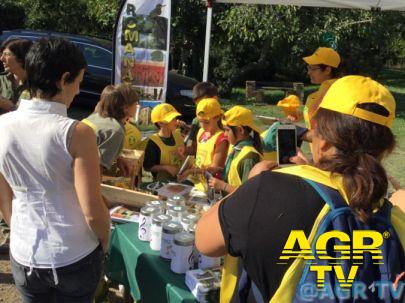 Puliamo il Mondo: Lazio batte tutti i record: 20.000 volontari hanno raccolto più di 70 tonnellate Puliamo il Mondo: Lazio batte tutti i record: 20.000 volontari hanno raccolto più di 70 tonnellate