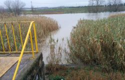 Acilia, con le prime piogge il fosso di Ponte Ladrone mette paura