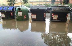 Municipio X, verde pubblico al collasso, denuncia di Monica Picca (Lega)