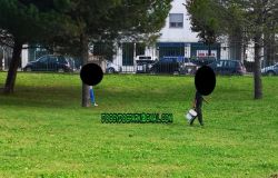 Ostia, ladri di pigne messi in fuga dai cittadini