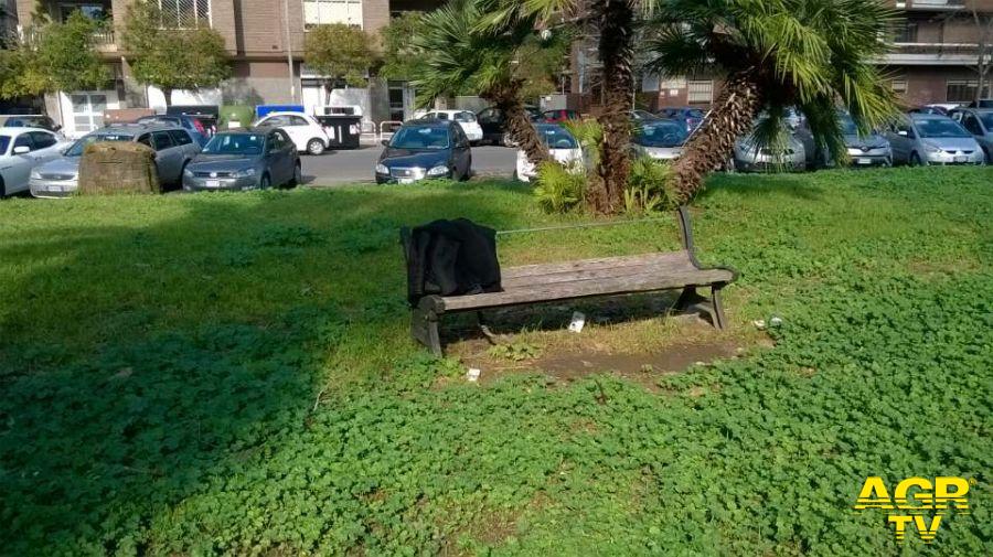 Ostia, varato il regolamento per affidamento aree verdi Ostia, varato il regolamento per affidamento aree verdi
