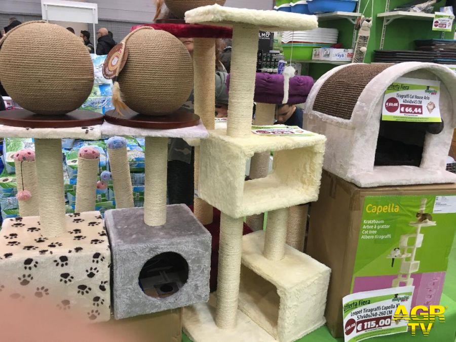 Roma,grande successo di Supercat show Roma,grande successo di Supercat show