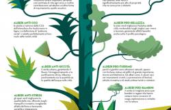 Festa nazionale dell'albero