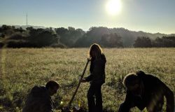 Legambiente, piantati 400 alberi