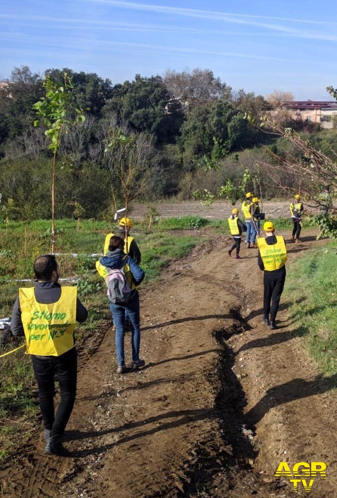 Legambiente, piantati 400 alberi Legambiente, piantati 400 alberi