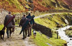 Lazio, stop alla caccia ai confini con il Parco Nazionale d'Abruzzo