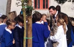 Ostia, piantate querce da sughero