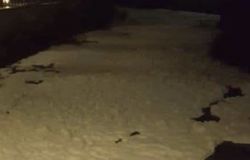 Inquinamento fiume Sacco, schiuma bianca sull'acqua