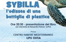 Sybilla, l'Odissea di una bottiglia di plastica