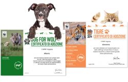 WWF per Natale adotta...una tigre