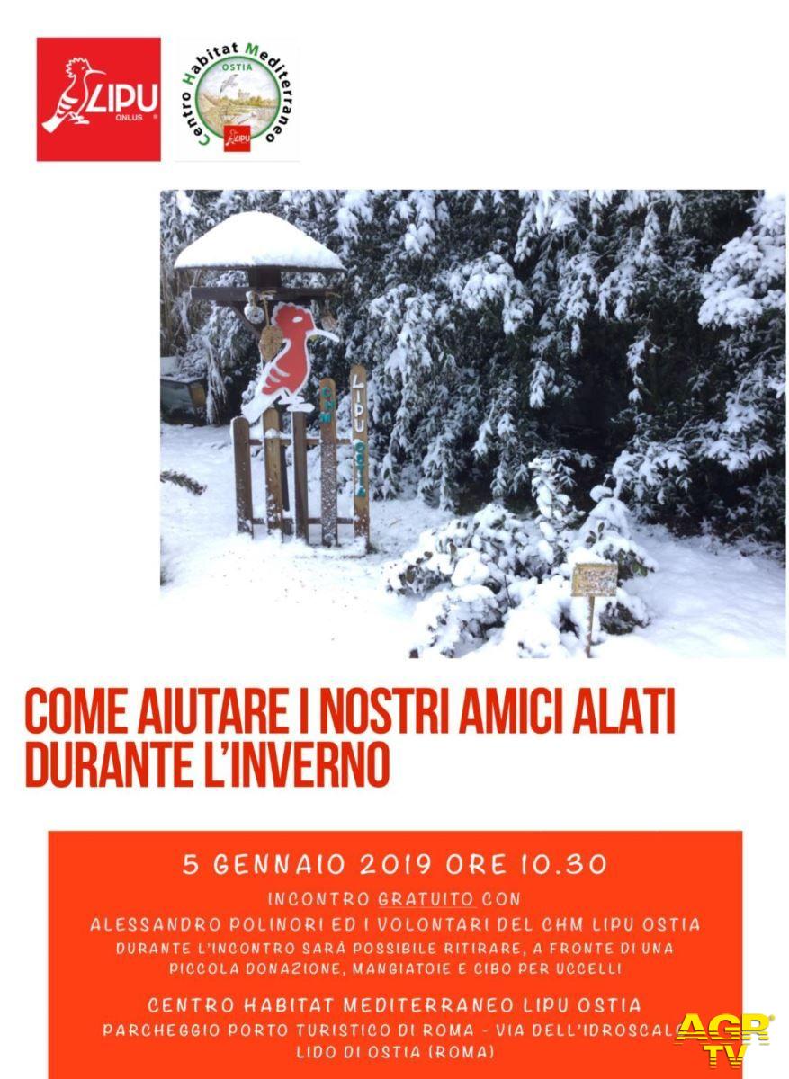 Ostia, alla Lipu le istruzioni per dare da mangiare agli uccelli Ostia, alla Lipu le istruzioni per dare da mangiare agli uccelli